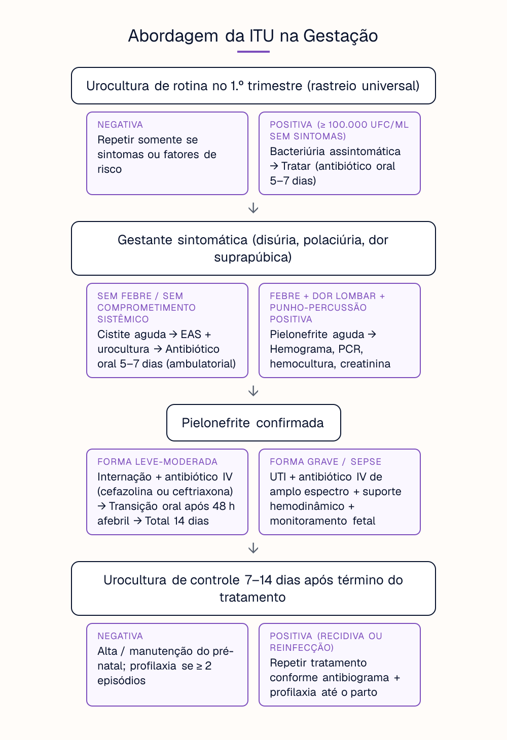 Abordagem da ITU na Gestação